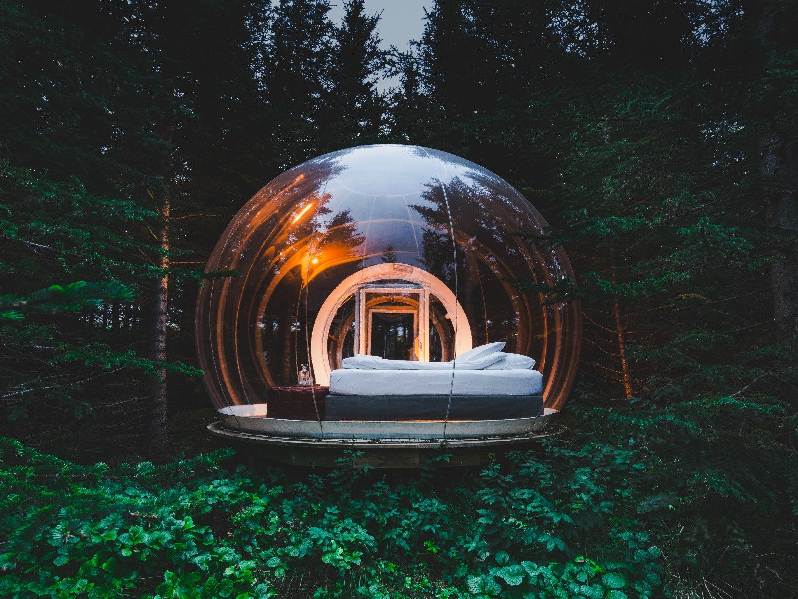 A transparent dome on a timber platform among trees, lit from inside at dusk.